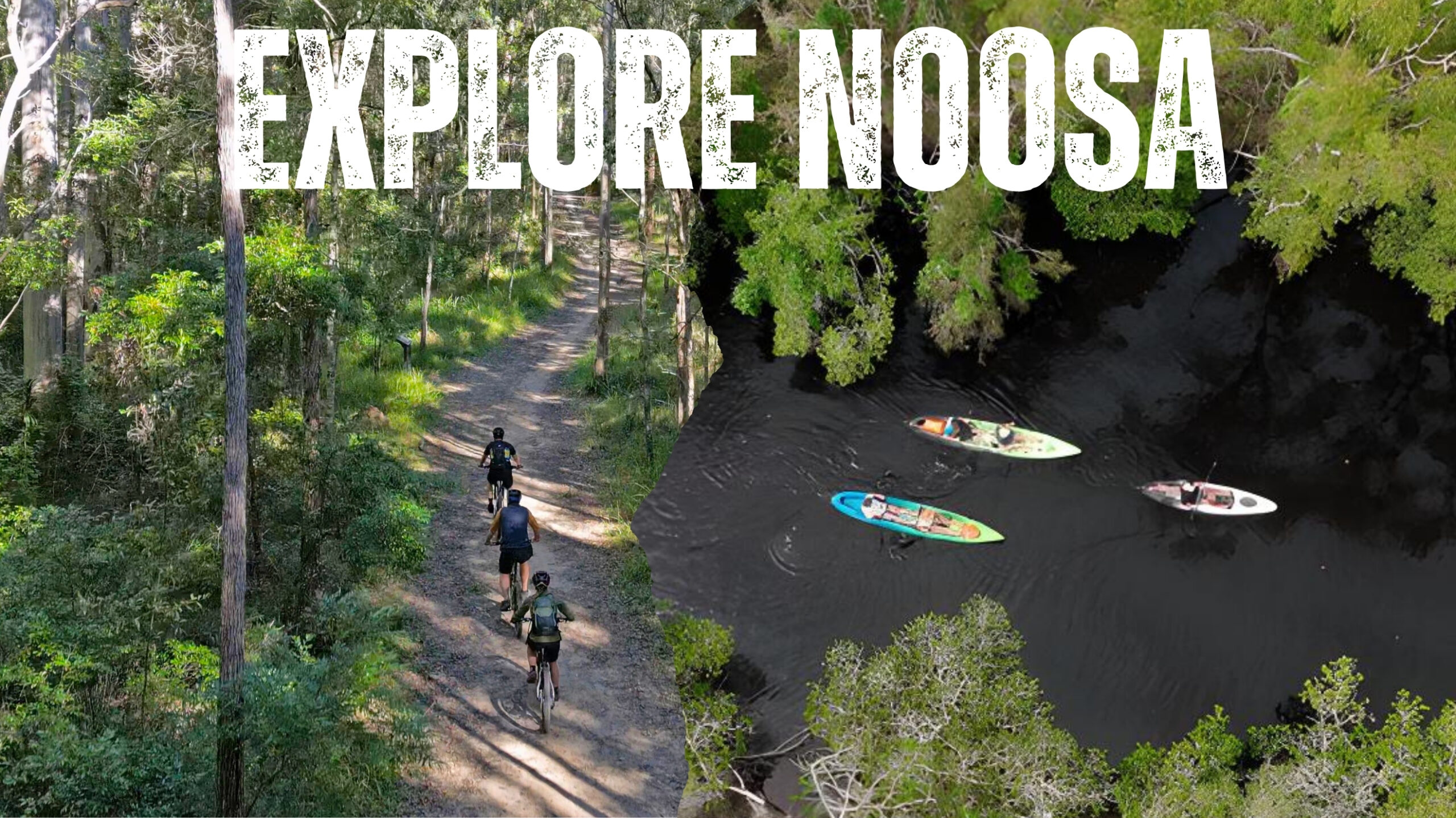 Explore Noosa Everglades by kayak and bike tours